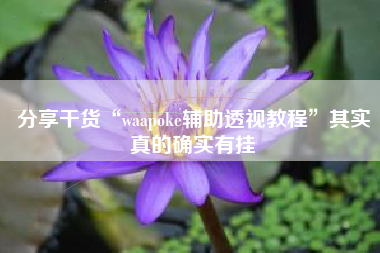分享干货“waapoke辅助透视教程”其实真的确实有挂 分享干货“waapoke辅助透视教程”其实真的确实有挂