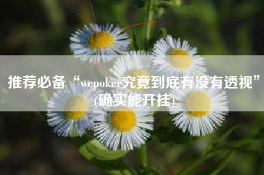 推荐必备“wepoker究竟到底有没有透视”(确实能开挂)