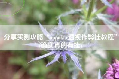 分享实测攻略“appoker透视作弊挂教程”(确实真的有挂) 分享实测攻略“appoker透视作弊挂教程”(确实真的有挂)