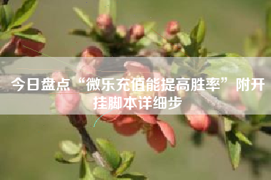 今日盘点“微乐充值能提高胜率”附开挂脚本详细步