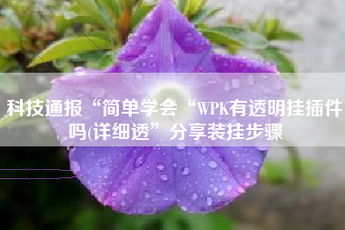 科技通报“简单学会“WPK有透明挂插件吗(详细透”分享装挂步骤
