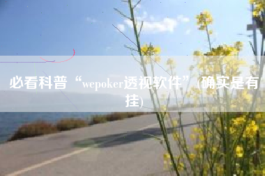 必看科普“wepoker透视软件”(确实是有挂)