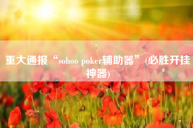 重大通报“sohoo poker辅助器”(必胜开挂神器)