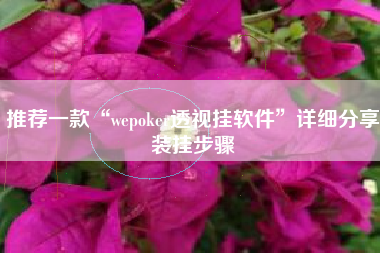 推荐一款“wepoker透视挂软件”详细分享装挂步骤