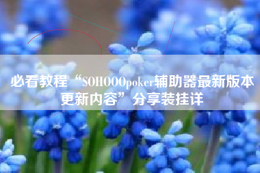 必看教程“SOHOOOpoker辅助器最新版本更新内容”分享装挂详 必看教程“SOHOOOpoker辅助器最新版本更新内容”分享装挂详
