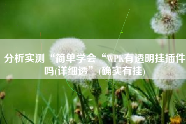 分析实测“简单学会“WPK有透明挂插件吗(详细透”(确实有挂) 分析实测“简单学会“WPK有透明挂插件吗(详细透”(确实有挂)