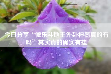 今日分享“微乐斗地主外卦神器真的有吗”其实真的确实有挂