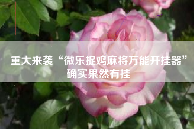 重大来袭“微乐捉鸡麻将万能开挂器”确实果然有挂