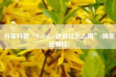 分享科普“WePoker透视挂怎么用”(确实是有挂) 分享科普“WePoker透视挂怎么用”(确实是有挂)
