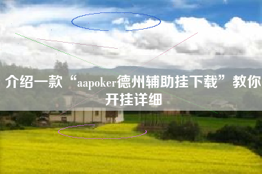 介绍一款“aapoker德州辅助挂下载”教你开挂详细