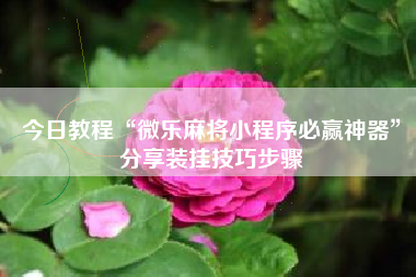 今日教程“微乐麻将小程序必赢神器”分享装挂技巧步骤