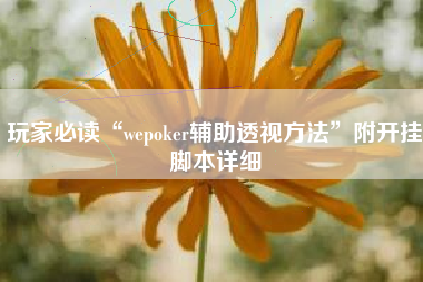 玩家必读“wepoker辅助透视方法”附开挂脚本详细