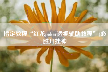 指定教程“红龙poker透视辅助教程”(必胜开挂神