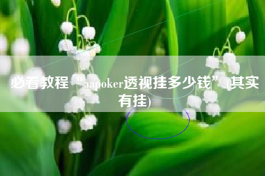 必看教程“aapoker透视挂多少钱”(其实有挂)