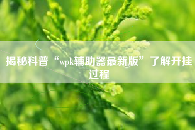 揭秘科普“wpk辅助器最新版”了解开挂过程