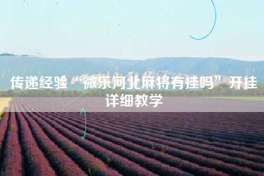 传递经验“微乐河北麻将有挂吗”开挂详细教学 传递经验“微乐河北麻将有挂吗”开挂详细教学