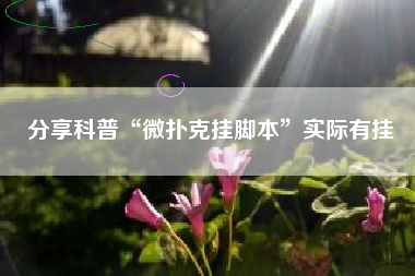 分享科普“微扑克挂脚本”实际有挂