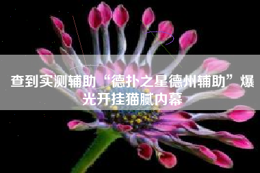 查到实测辅助“德扑之星德州辅助”爆光开挂猫腻内幕 查到实测辅助“德扑之星德州辅助”爆光开挂猫腻内幕