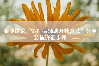 专业讨论“WePoker辅助开挂方法”分享装挂详细步骤