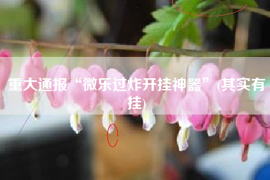 重大通报“微乐过炸开挂神器”(其实有挂) 重大通报“微乐过炸开挂神器”(其实有挂)