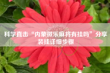 科学直击“内蒙微乐麻将有挂吗”分享装挂详细步骤
