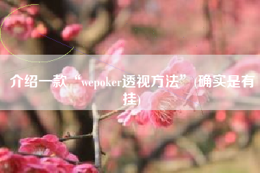 介绍一款“wepoker透视方法”(确实是有挂)