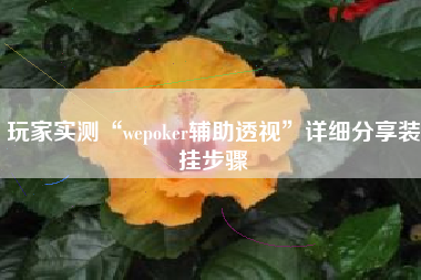 玩家实测“wepoker辅助透视”详细分享装挂步骤
