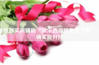 查到实测辅助“微乐透视挂免费下载”(确实能开挂)