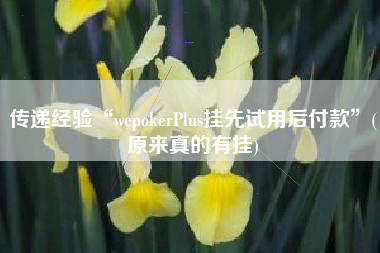 传递经验“wepokerPlus挂先试用后付款”(原来真的有挂)