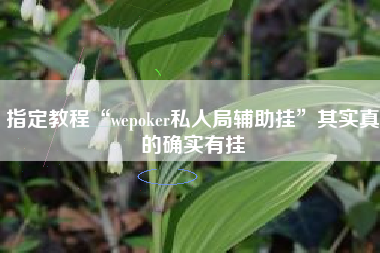 指定教程“wepoker私人局辅助挂”其实真的确实有挂