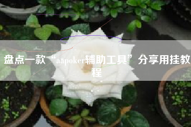 盘点一款“aapoker辅助工具”分享用挂教程