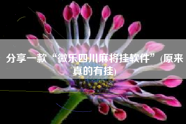 分享一款“微乐四川麻将挂软件”(原来真的有挂) 分享一款“微乐四川麻将挂软件”(原来真的有挂)