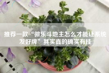 推荐一款“微乐斗地主怎么才能让系统发好牌”其实真的确实有挂