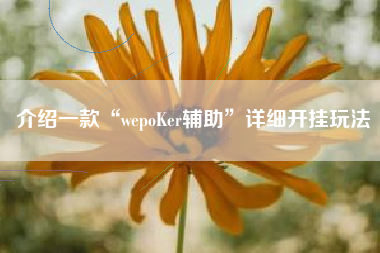 介绍一款“wepoKer辅助”详细开挂玩法