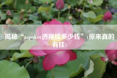 揭秘“aapoker透视挂多少钱”(原来真的有挂)