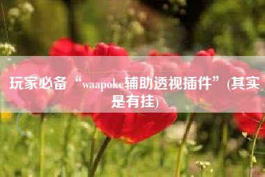 玩家必备“waapoke辅助透视插件”(其实是有挂) 玩家必备“waapoke辅助透视插件”(其实是有挂)