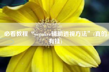 必看教程“wepoker辅助透视方法”(真的有挂)