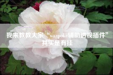 我来教教大家“waapoke辅助透视插件”其实是有挂 我来教教大家“waapoke辅助透视插件”其实是有挂
