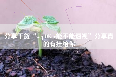 分享干货“wepOKer能不能透视”分享真的有挂给你 分享干货“wepOKer能不能透视”分享真的有挂给你