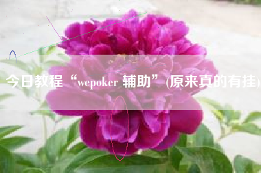 今日教程“wepoker 辅助”(原来真的有挂) 今日教程“wepoker 辅助”(原来真的有挂)