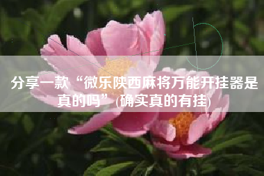 分享一款“微乐陕西麻将万能开挂器是真的吗”(确实真的有挂)