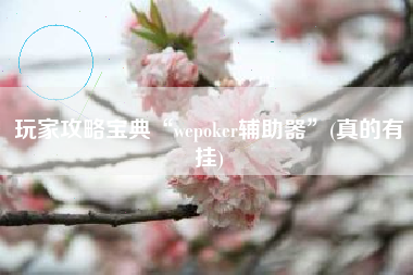 玩家攻略宝典“wepoker辅助器”(真的有挂)