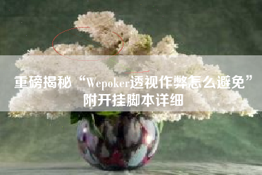 重磅揭秘“Wepoker透视作弊怎么避免”附开挂脚本详细
