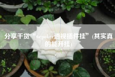 分享干货“wepoker透视插件挂”(其实真的能开挂) 分享干货“wepoker透视插件挂”(其实真的能开挂)