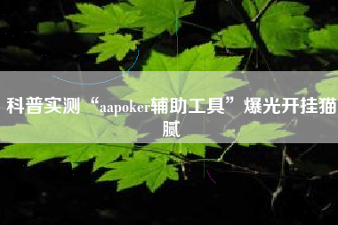 科普实测“aapoker辅助工具”爆光开挂猫腻