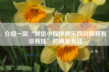 介绍一款“微信小程序微乐四川麻将有没有挂”的确是有挂