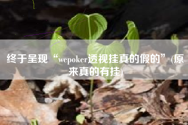 终于呈现“wepoker透视挂真的假的”(原来真的有挂)