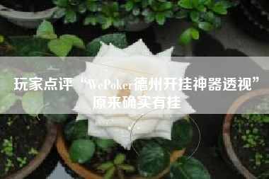 玩家点评“WePoker德州开挂神器透视”原来确实有挂 玩家点评“WePoker德州开挂神器透视”原来确实有挂
