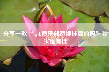 分享一款“wpk俱乐部透视挂真的吗”其实是有挂 分享一款“wpk俱乐部透视挂真的吗”其实是有挂