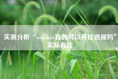 实测分析“wepoker真的可以开挂透视吗”实际有挂